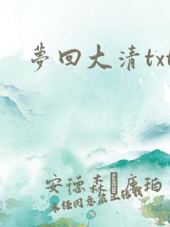 梦回大清txt