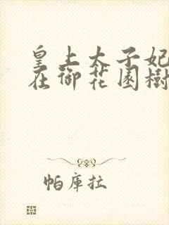 皇上太子妃沈音在御花园树上