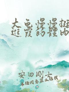 大龟慢慢挺进王进霞的体内