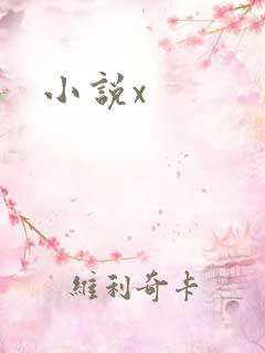 小说x