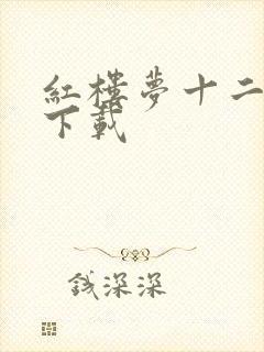 红楼梦十二金钗下载