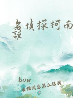 名侦探柯南h小说