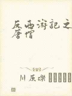 反西游记之混混唐僧