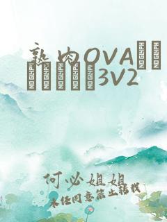 熟肉OVAちゃんはしたい3V2