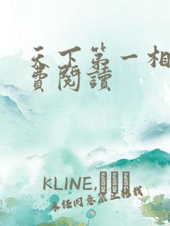 天下第一相书免费阅读