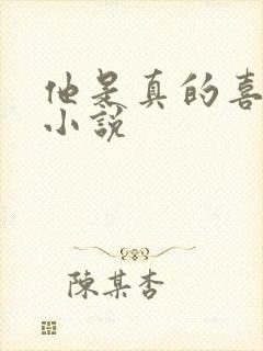 他是真的喜欢你小说