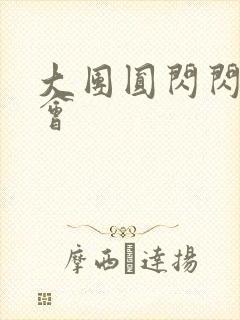 大团圆闪闪相亲会