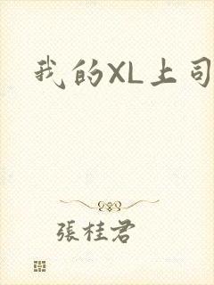 我的XL上司