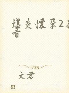 爆炎怀孕2在线看