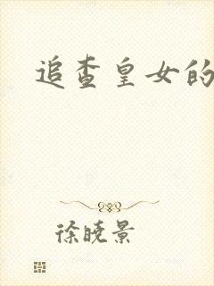 追查皇女的踪迹