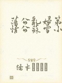 荡公乱妇第1章情公苏雪小说