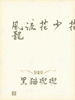 风流花少 花睿龙