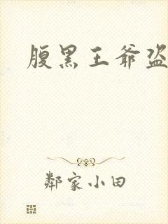 腹黑王爷盗墓妃