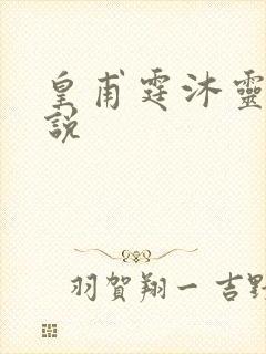 皇甫霆沐灵芸小说