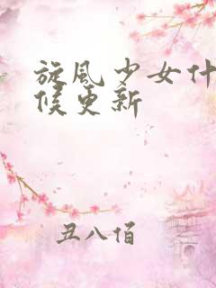 旋风少女什么时候更新