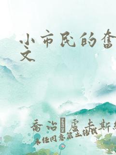 小市民的奋斗燃文