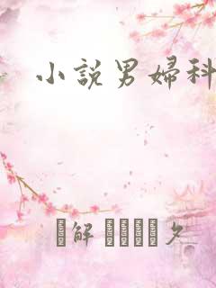 小说男妇科医生