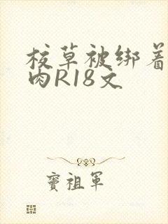 校草被绑着玩纯肉R18文