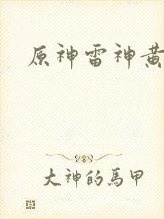 原神雷神黄本本