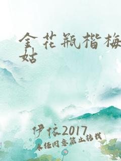 金花瓶楷梅花尼姑