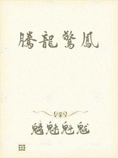 腾龙惊凤