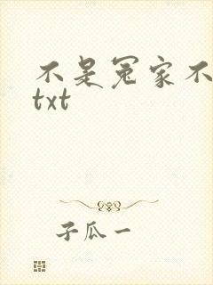 不是冤家不聚头txt