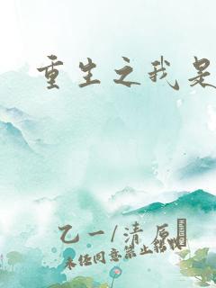 重生之我是影后