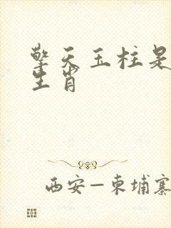 擎天玉柱是什么生肖