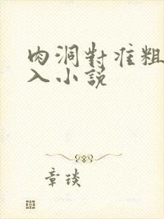 肉洞对准粗大坐入小说