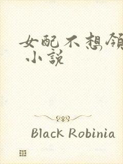 女配不想领便当 小说