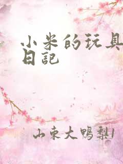 小米的玩具羞辱日记