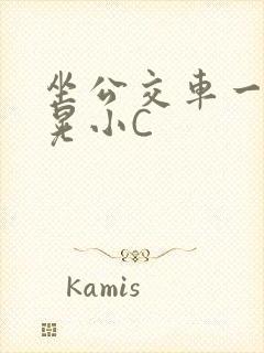 坐公交车一摇一晃小C