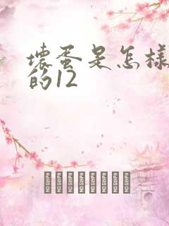 坏蛋是怎样炼成的12