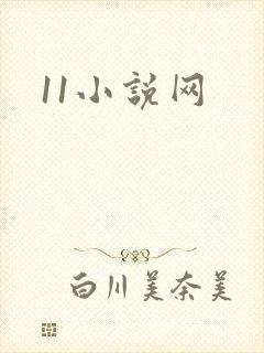 11小说网