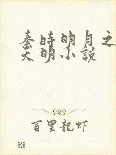 秦时明月之夜尽天明小说