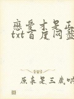 恋爱才是正经事txt百度网盘