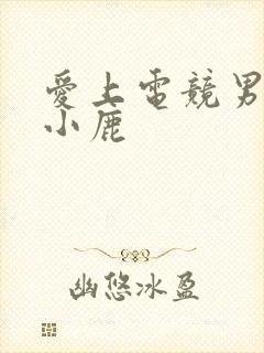 爱上电竞男神林小鹿