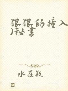 狠狠的撞入(h)秘书