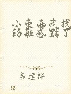 小东西我找到你的敏感点了