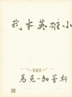 我本英雄小说
