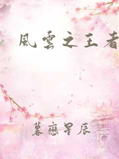 风云之王者人生