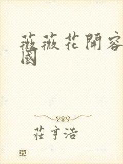 薇薇花开容颜倾国