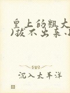 皇上的粗大(h)拔不出来小说