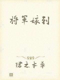 将军嫁到