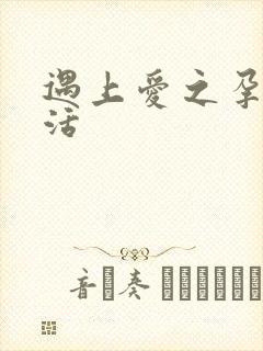 遇上爱之孕夫生活