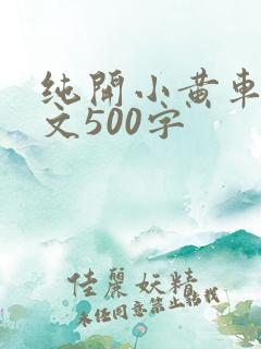 纯开小黄车小短文500字
