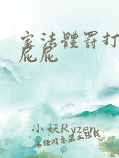 家法体罚打丫鬟屁屁