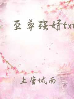 至尊强婿txt