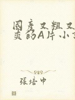 国产又粗又黄又爽的A片小说