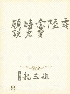 顾时念陆霆骁小说免费